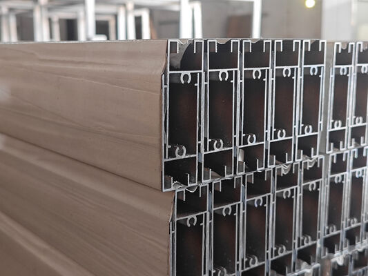 Afrique du Sud Profils de fenêtres de patio à extrusion en aluminium revêtement en poudre